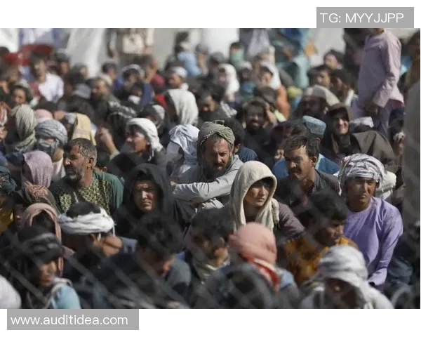 伊拉克足球崛起之路：从战乱到国际赛场的奋斗与希望