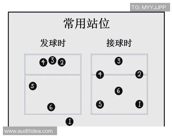 足球与排球的魅力对比：两项运动如何塑造团队精神与个人技能