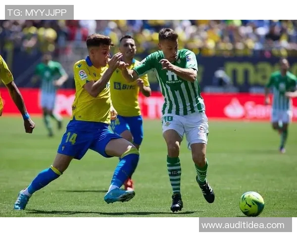 中国与巴勒斯坦足球比赛比分揭晓精彩瞬间回顾与分析